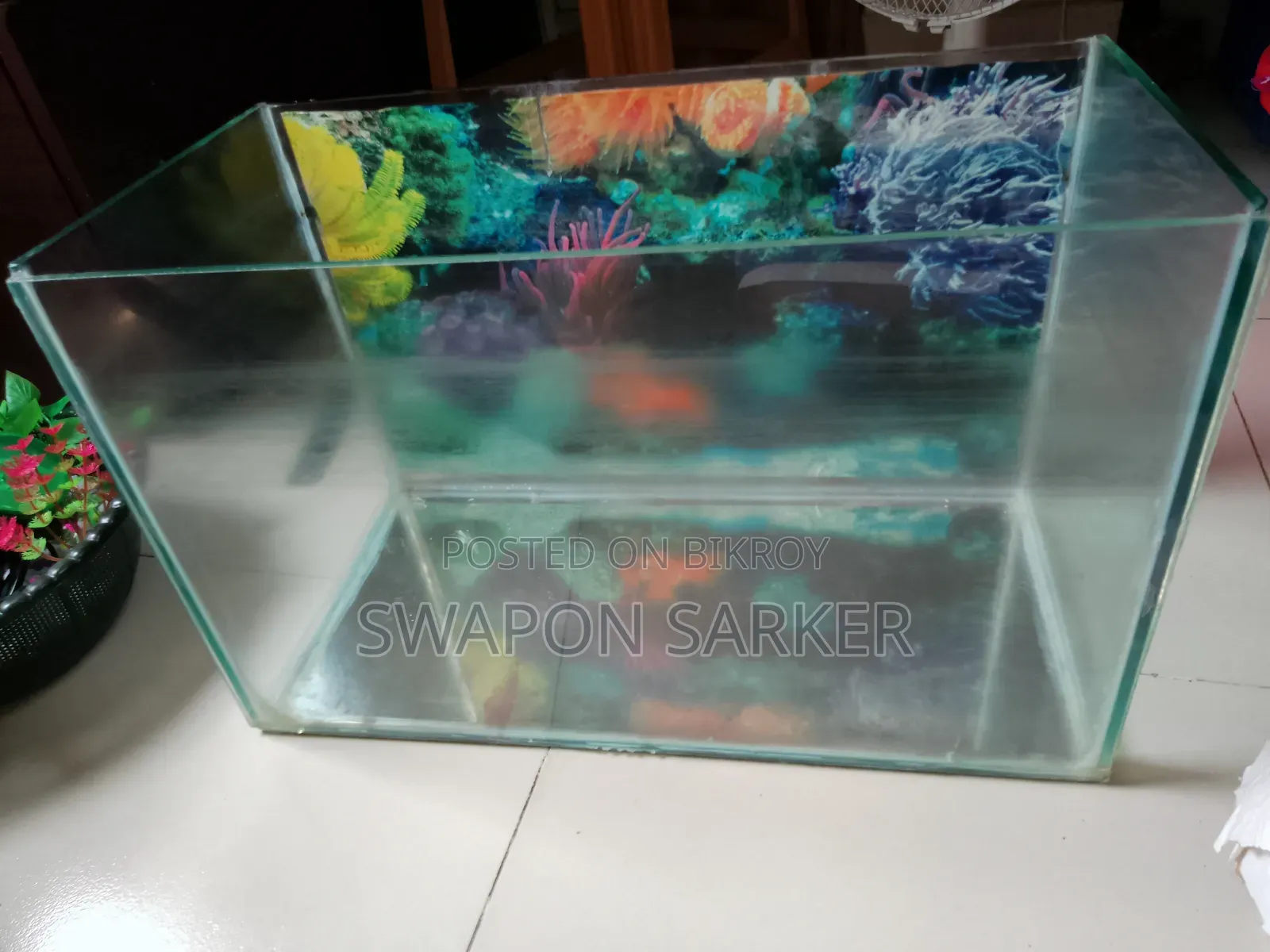 Aquarium for Fish