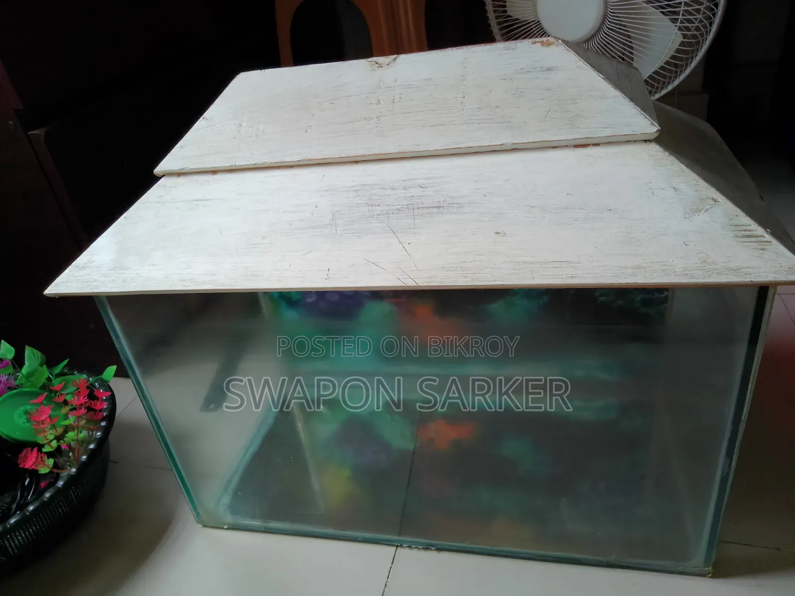 Aquarium for Fish