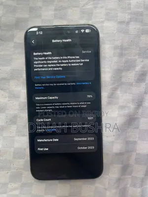 Apple iPhone 15 Pro Max 256 GB