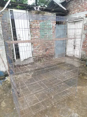 8 Compartment Rack
