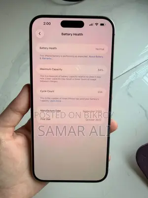 Apple iPhone 15 Pro Max 256 GB Gray