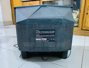 Walton D21 Television