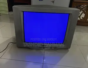Walton D21 Television
