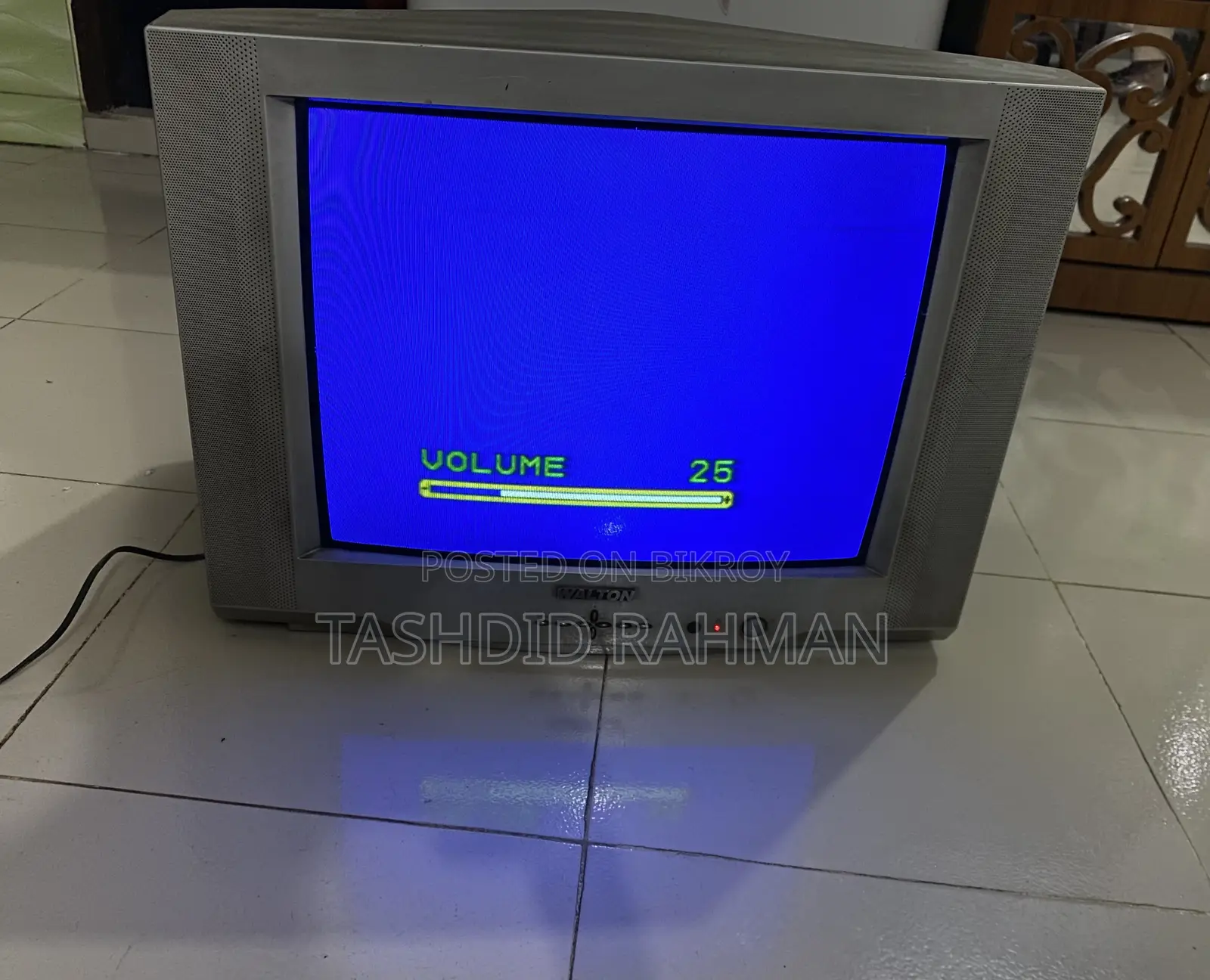 Walton D21 Television