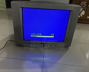 Walton D21 Television