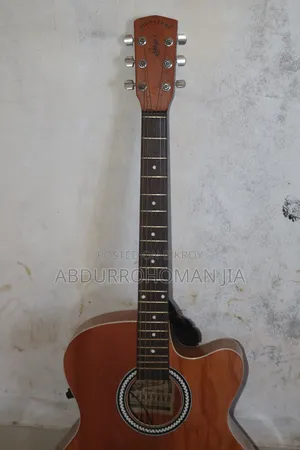 Guitar to be sold, it is brand new Signature Goges