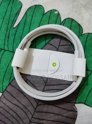 Original iPhone Adapter & Cable