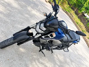 ইয়ামাহা এফজেডএস ভি৩ ২০২২ নীল