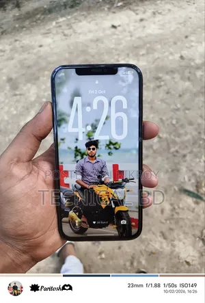 Apple iPhone 12 Pro Max 256 GB Blue