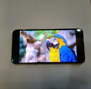 অ্যাপল আইফোন ১১ প্রো ম্যাক্স ২৫৬ জিবি হোয়াইট