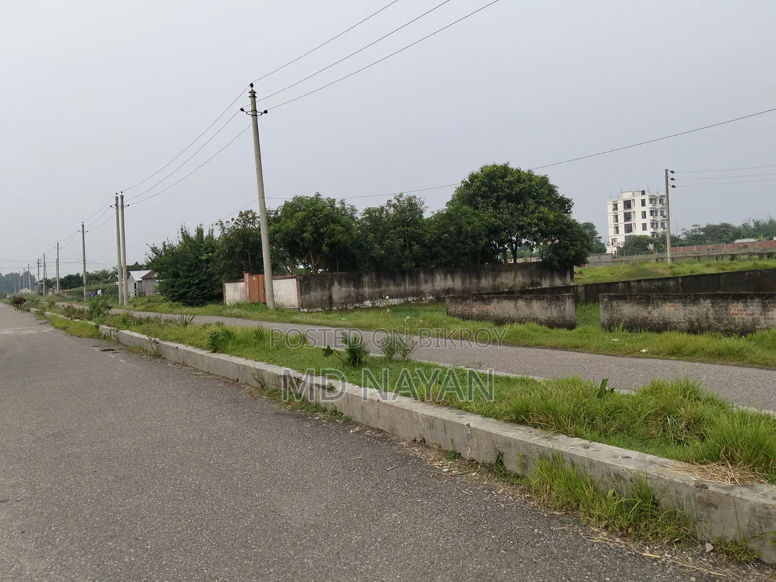 South-facing 3 katha corner plot for sale in Sector 9.