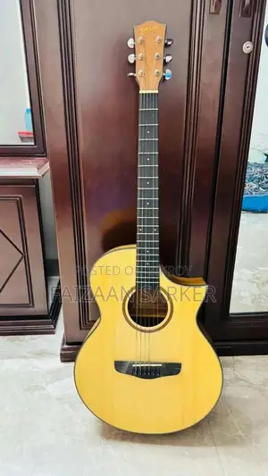 ডিভাইসার এল৬১০এন গিটার