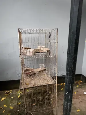 ৩ খোপের কেজ