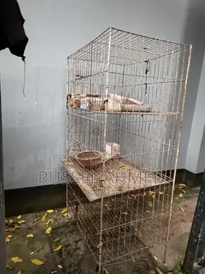৩ খোপের কেজ