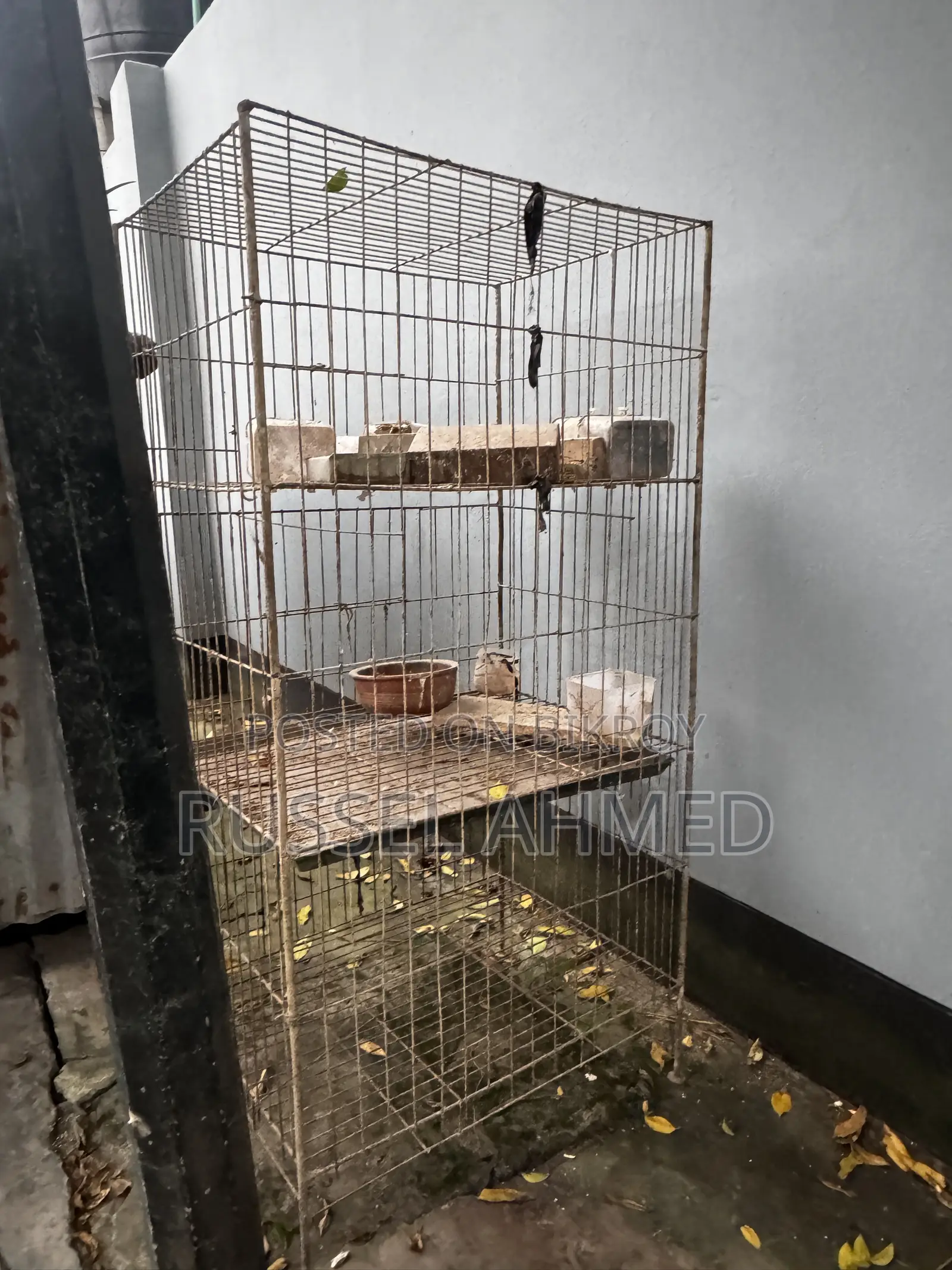৩ খোপের কেজ