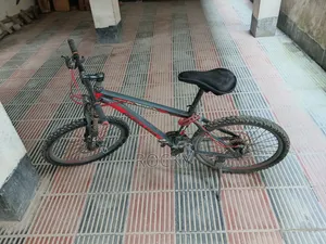 Duronto Bicycle Size 24