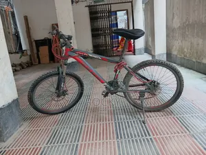 Duronto Bicycle Size 24