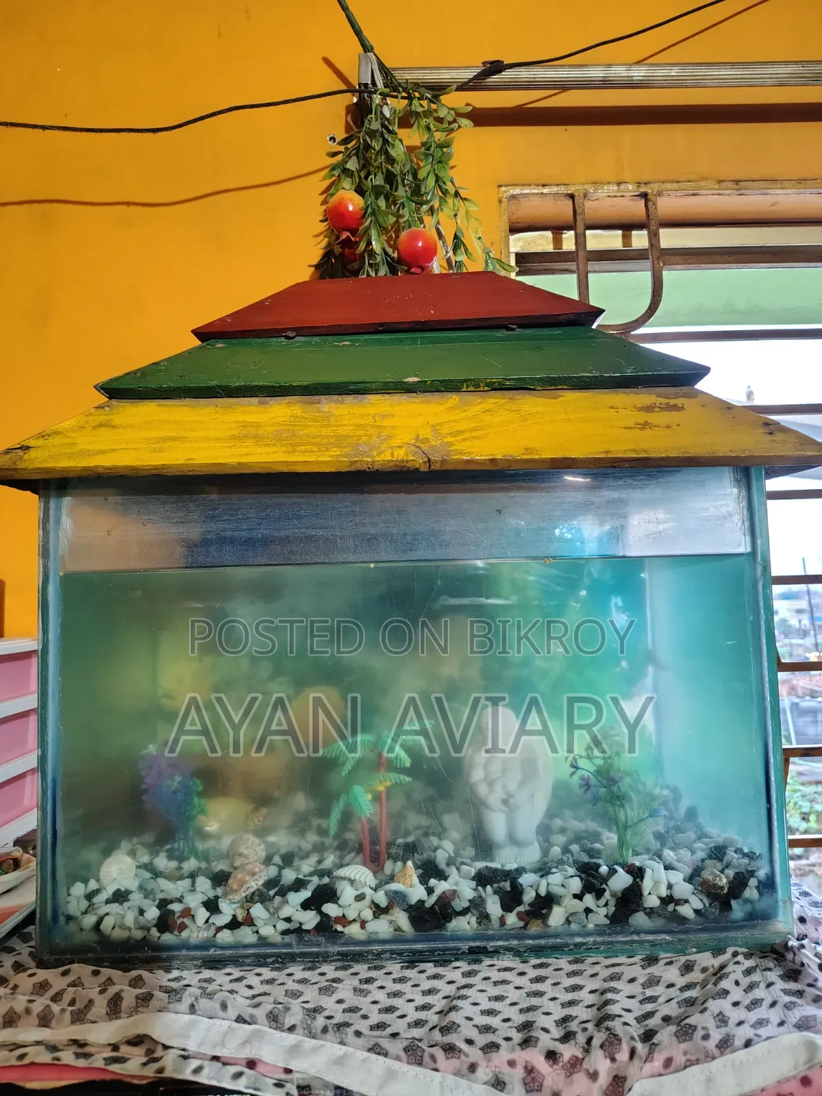 মাছ একুরিয়াম বিক্রি হবে