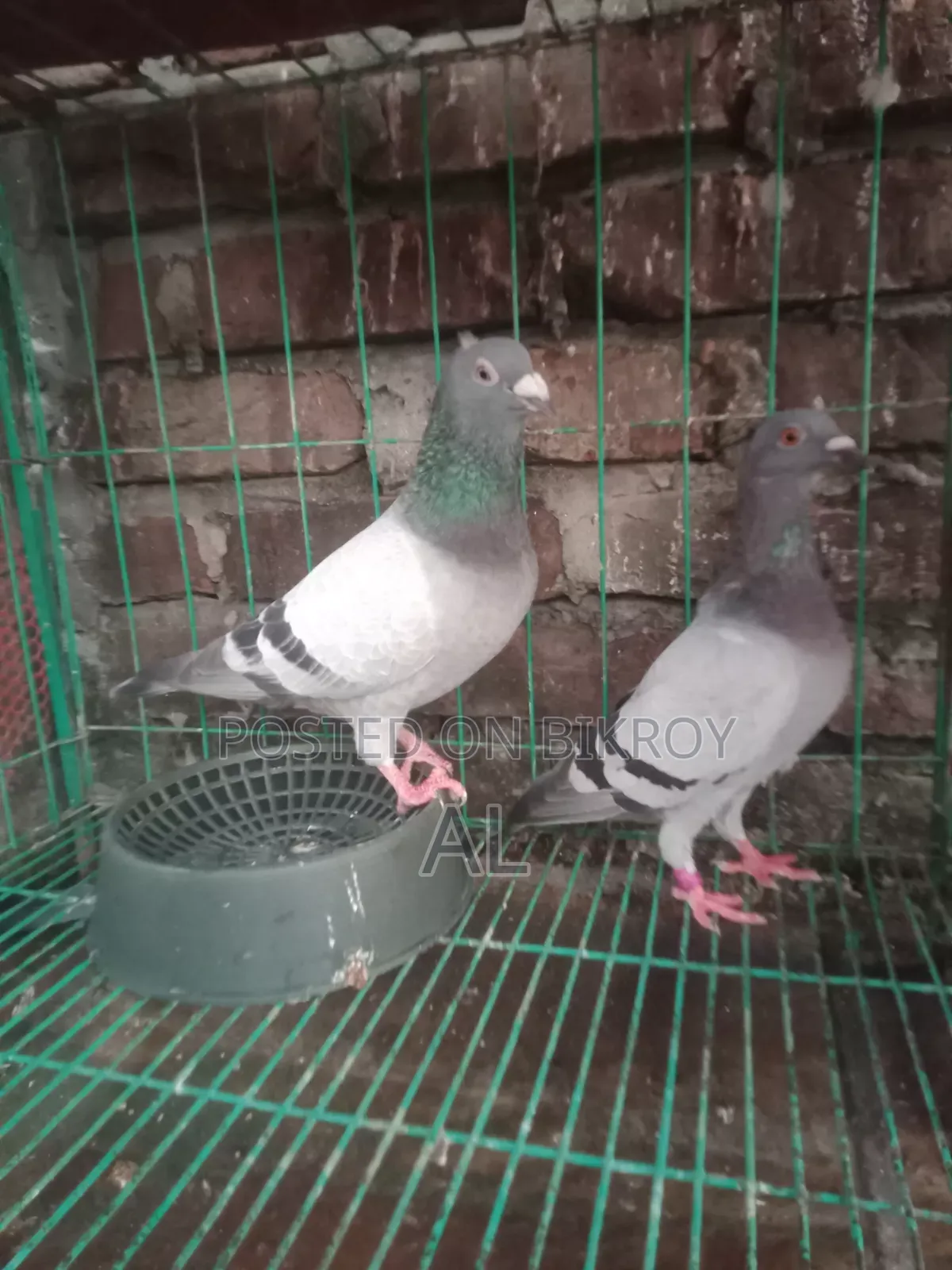 For Sale