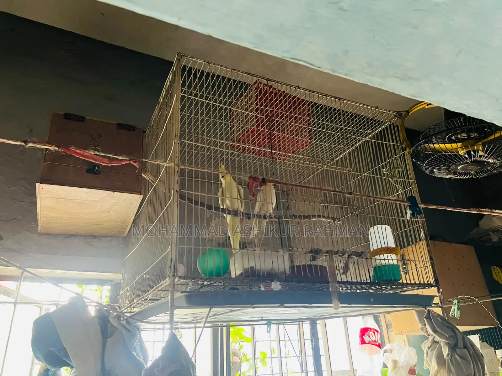 পাখির খাঁচা