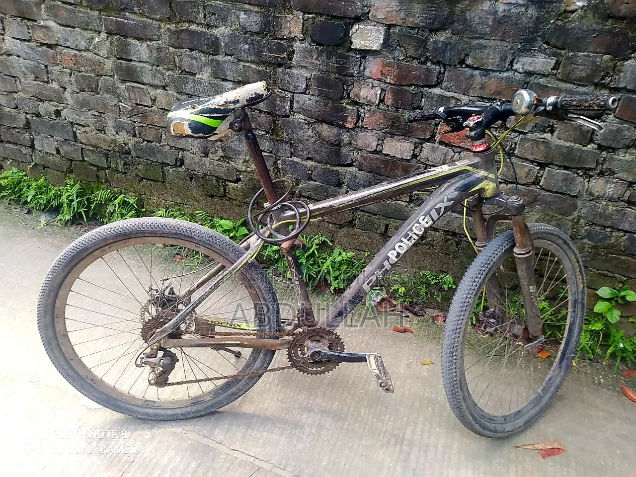 Running Phoenix Bicycle