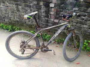 Running Phoenix Bicycle