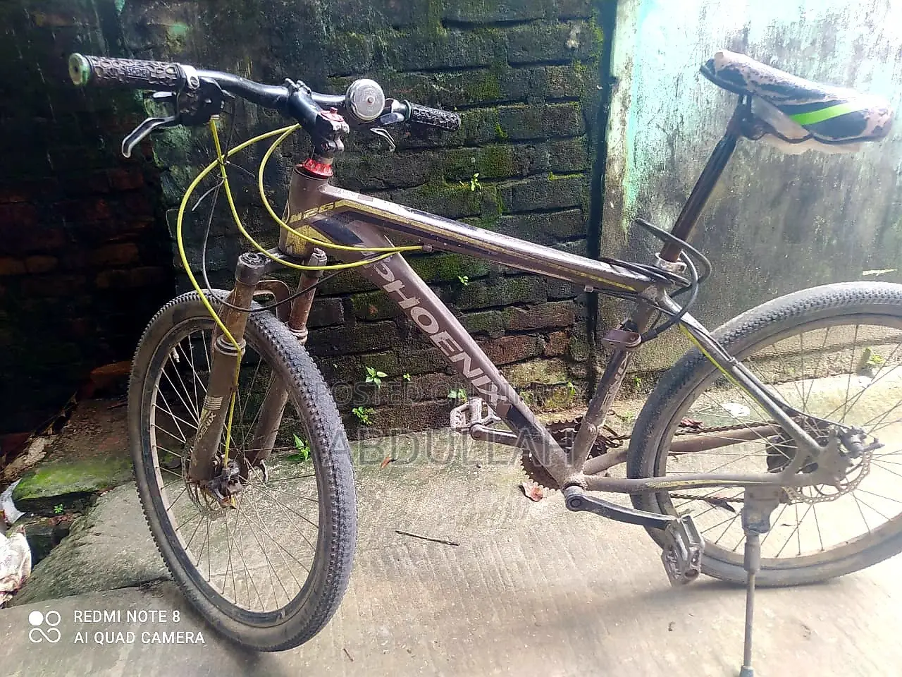 Running Phoenix Bicycle