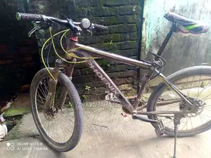 Running Phoenix Bicycle