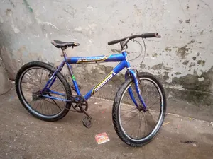 Bicycle Non-Gear 26 Size