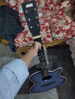 Acoustic Bengali Guitar