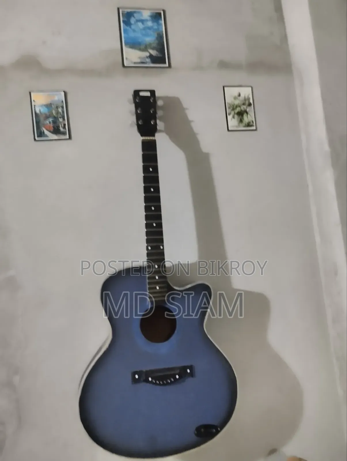 Acoustic Bengali Guitar
