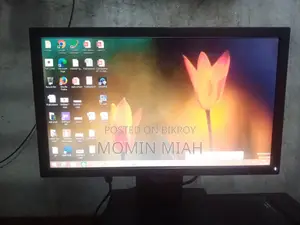 ডেল ১৯ ইঞ্চি মনিটর