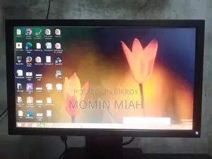 ডেল ১৯ ইঞ্চি মনিটর