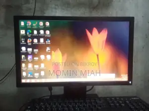ডেল ১৯ ইঞ্চি মনিটর