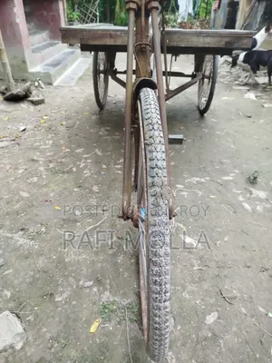 Van Cart