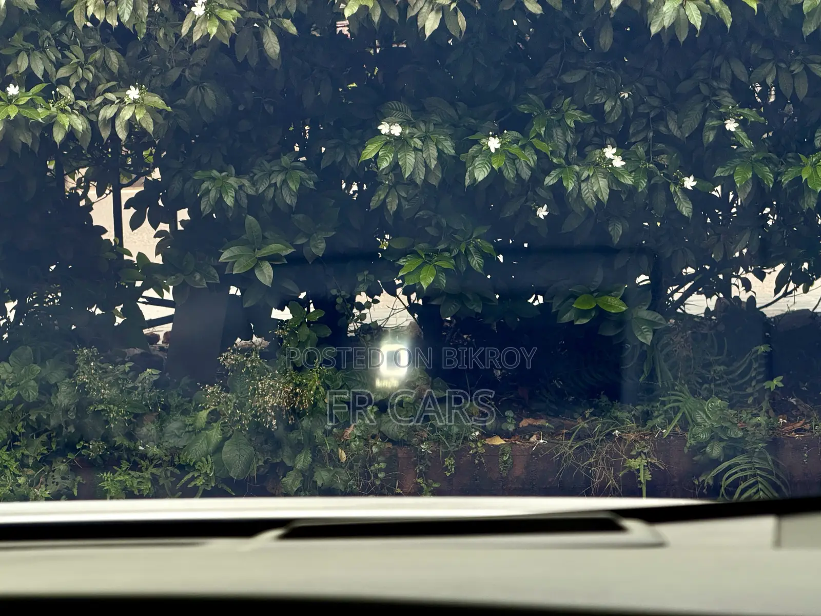 Toyota Prius Plug-In Hybrid Business Edition Plus 2019 Pearl