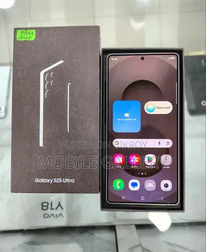 Samsung Galaxy S25 Ultra 256 GB Gray