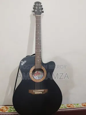 Signature 265 Guitar