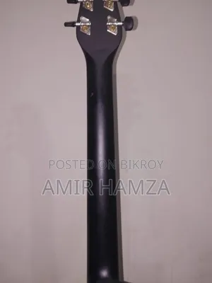 Signature 265 Guitar
