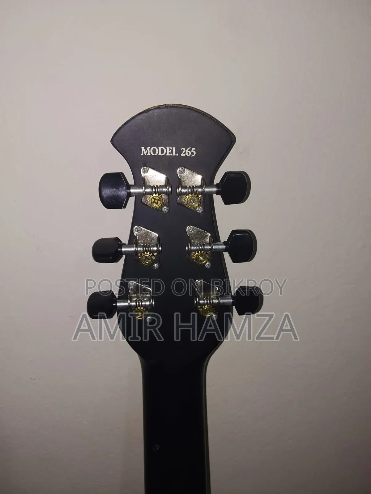 Signature 265 Guitar