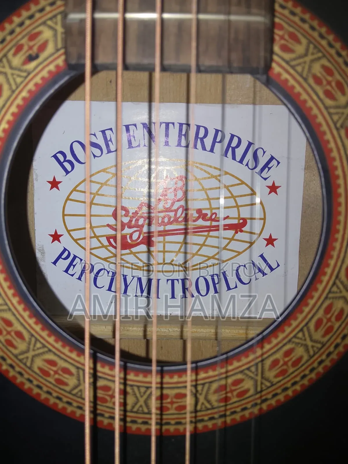 Signature 265 Guitar