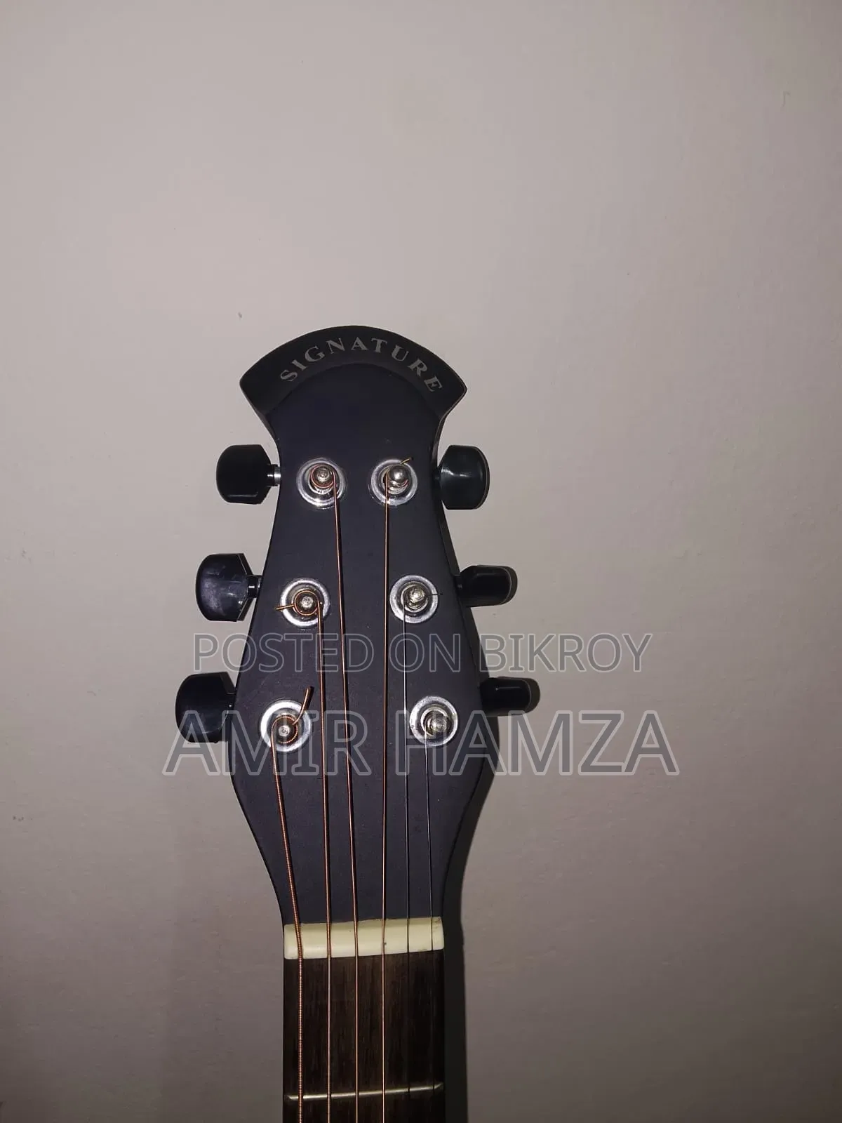 Signature 265 Guitar
