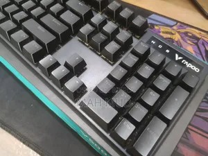 Rapoo V500 Pro