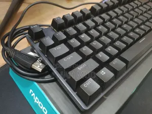 Rapoo V500 Pro