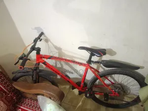 Seventyone Cycle