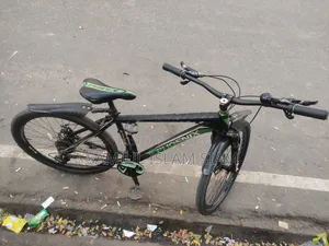 ফিনিক্স সাইকেল