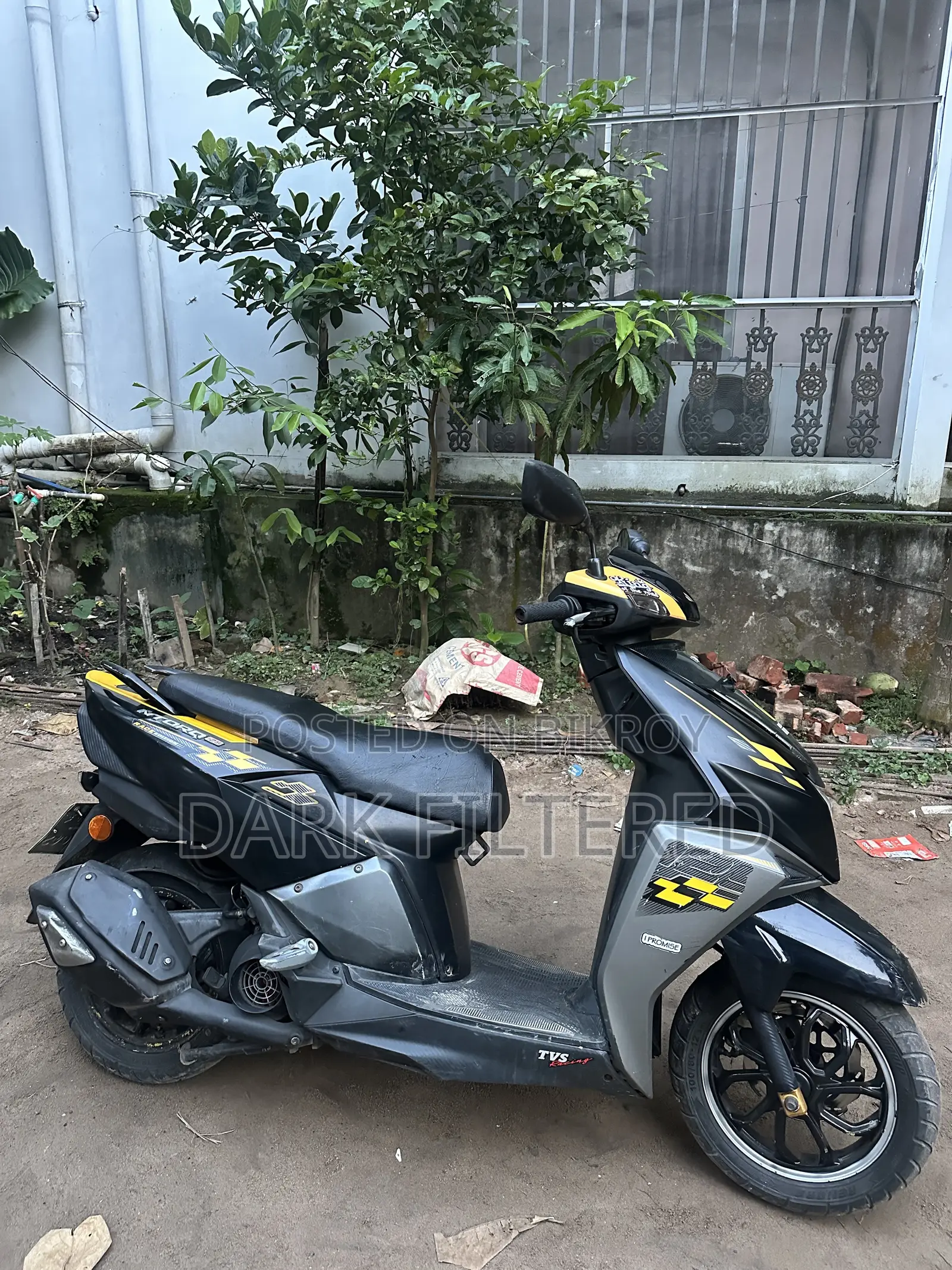 টিভিএস এনটর্ক ১২৫ ২০২১ হলুদ