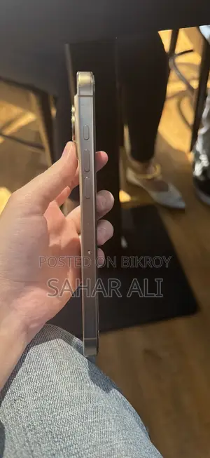 Apple iPhone 16 Pro Max 512 GB Rose Gold