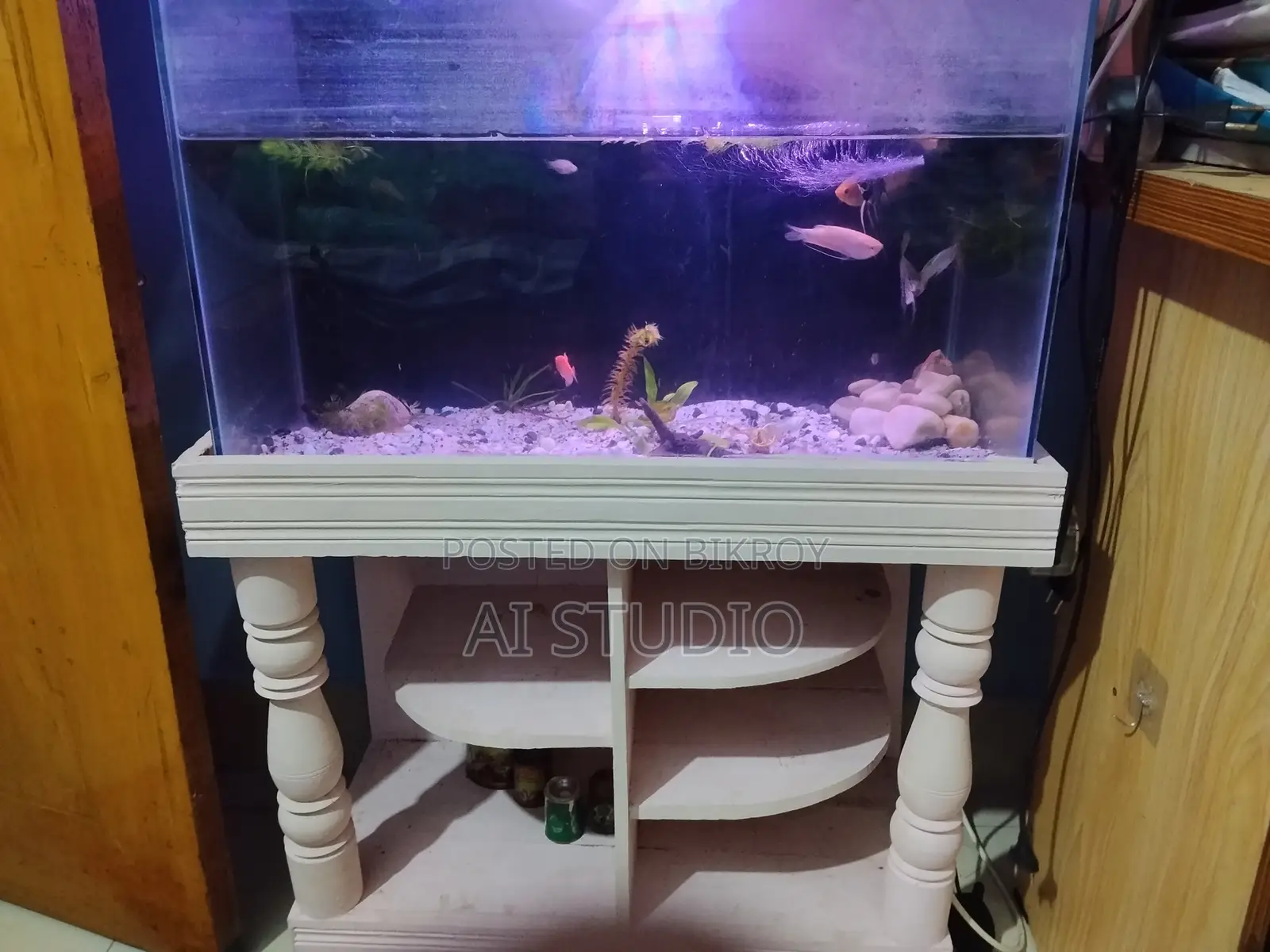 ২ ফিট অ্যাকোয়ারিয়াম বিক্রি