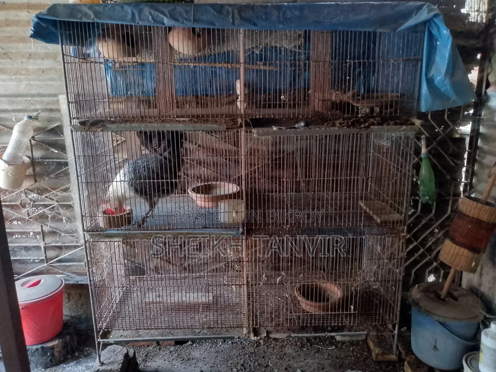 লোহার মজবুত বানানো খাচা